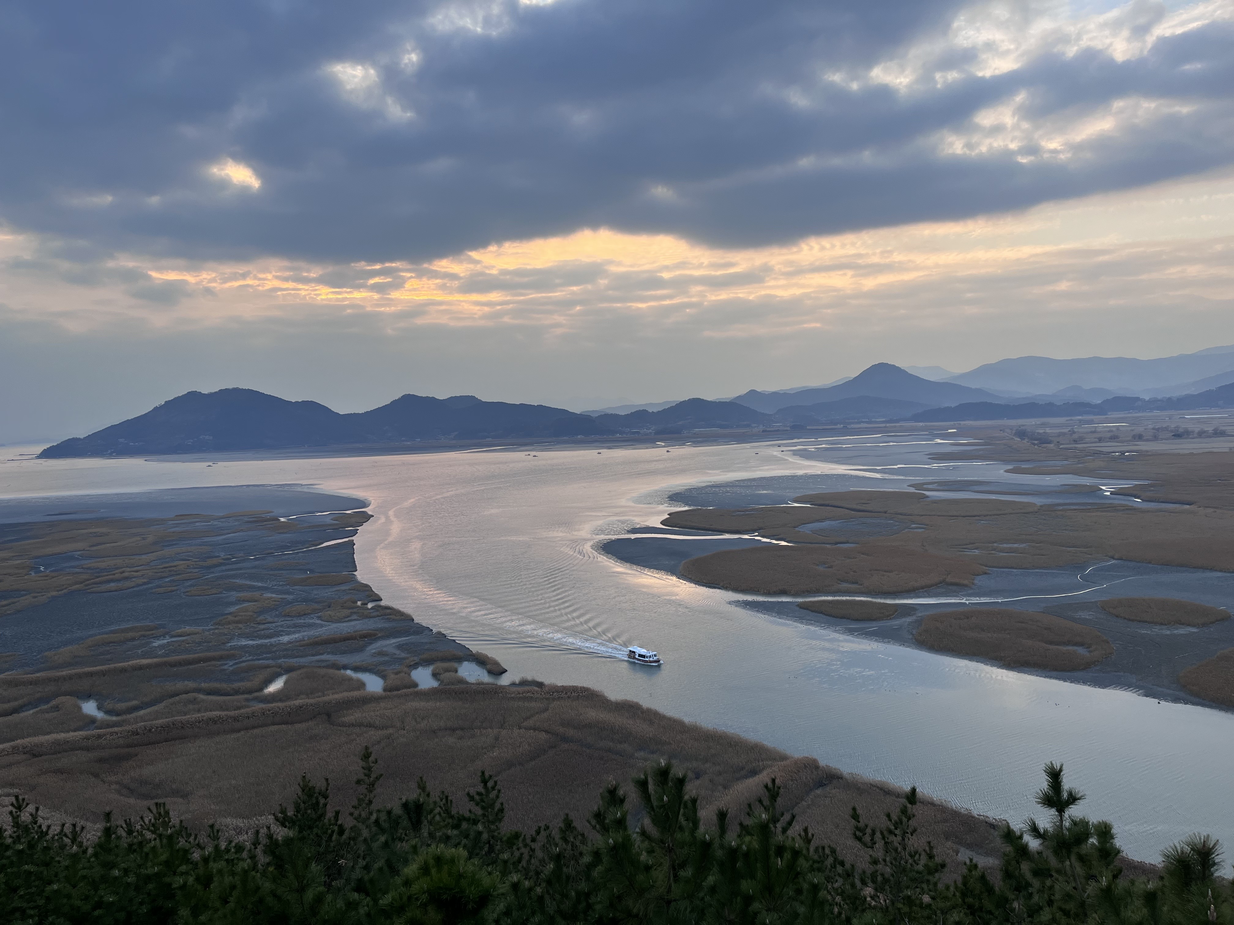 순천만 용산전망대에서 바라본 연안습지