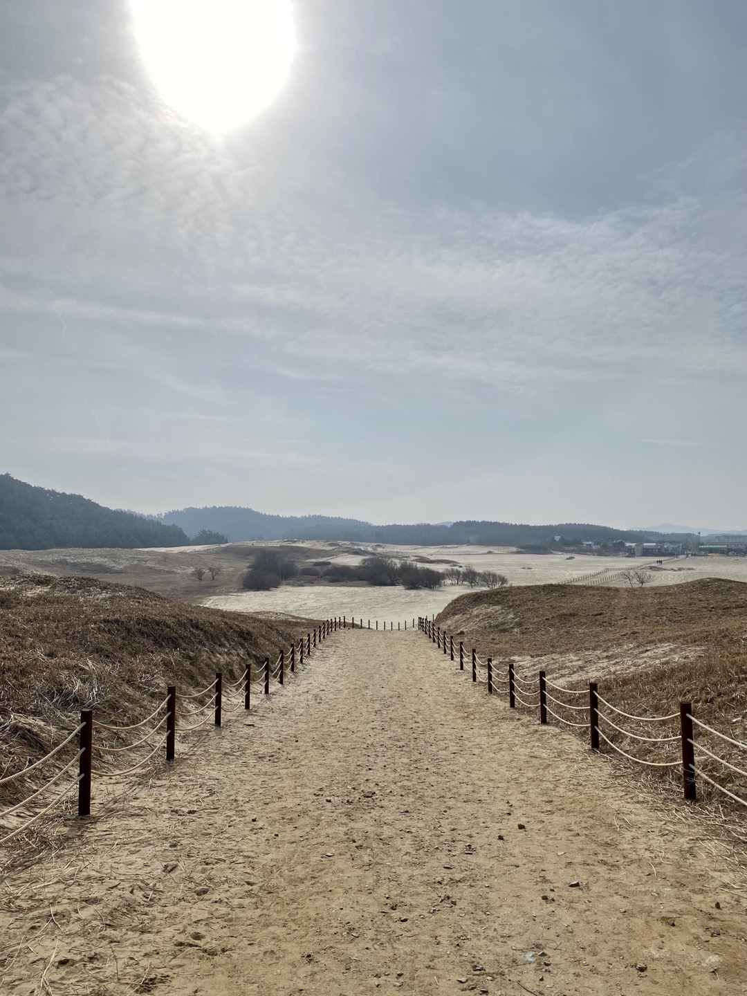 신두리 해안사구의 계절변화(겨울)