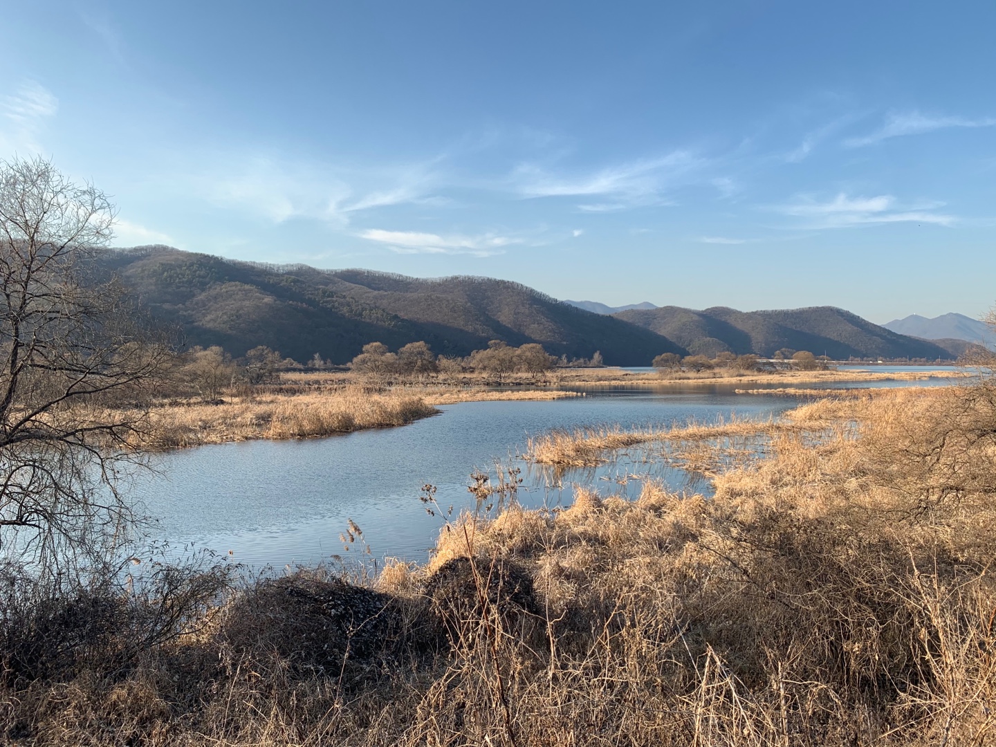 광주 경안천 습지