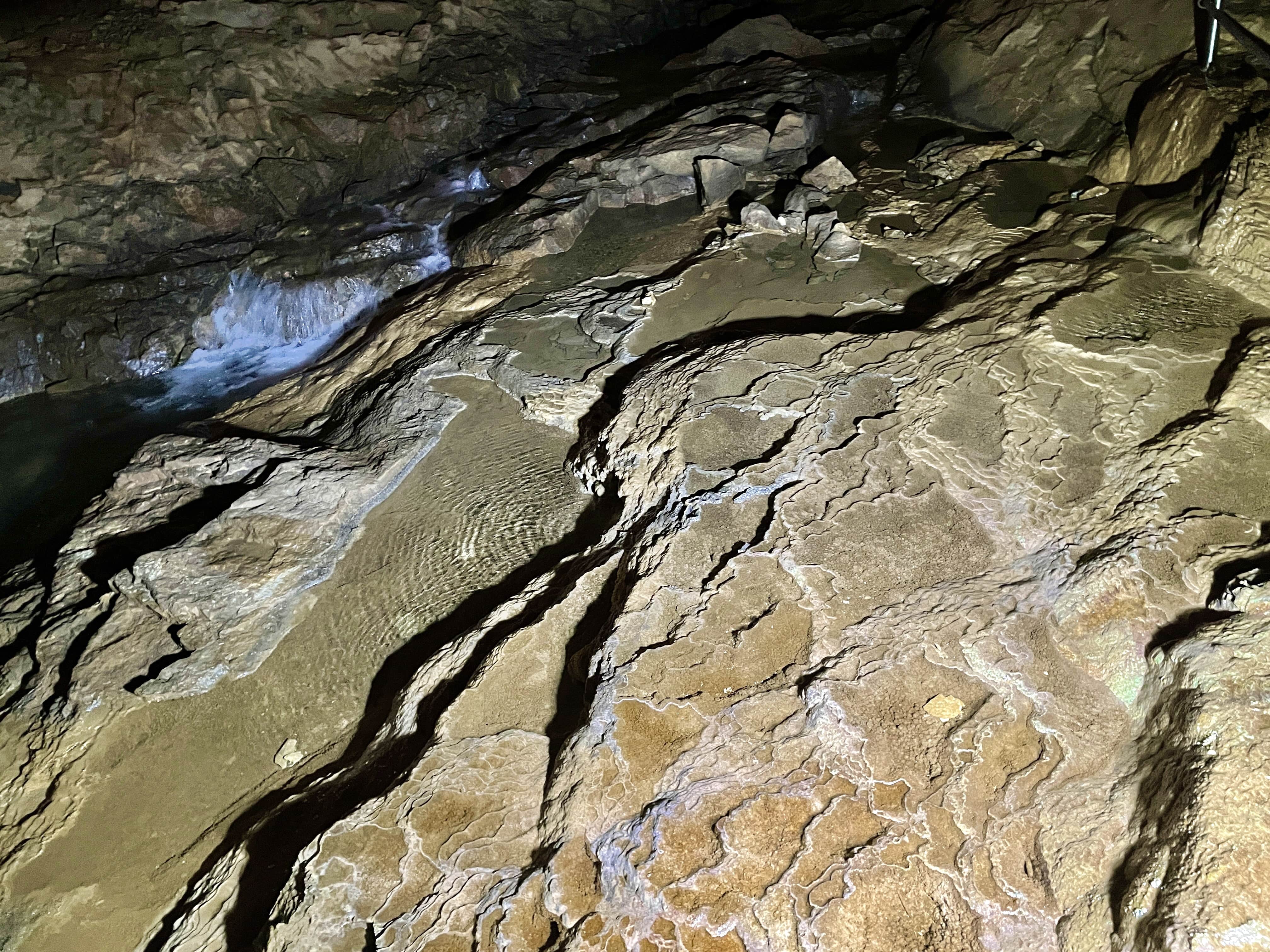 휴석소와 동굴산호